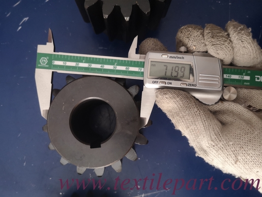PNQ48571 GIA DELLA RISOLTA